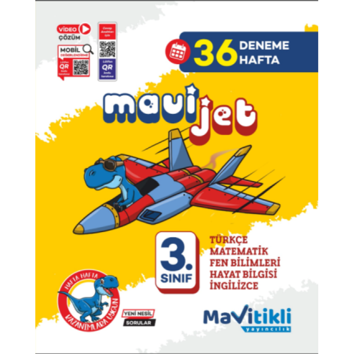 3.SINIF MAVİJET