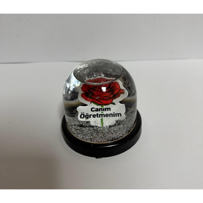 Öğretmenler Gününe Küre