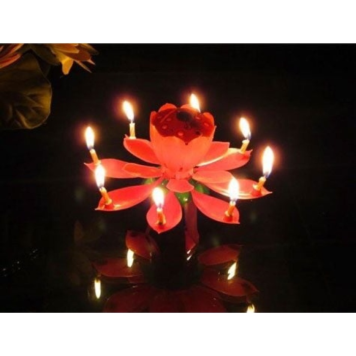 Müzikli Mum - Lisinya