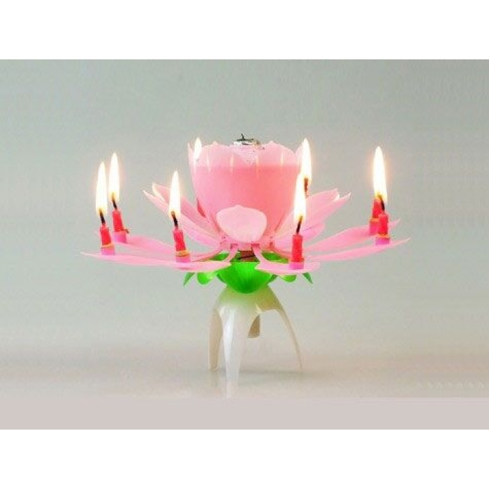 Müzikli Mum - Lisinya