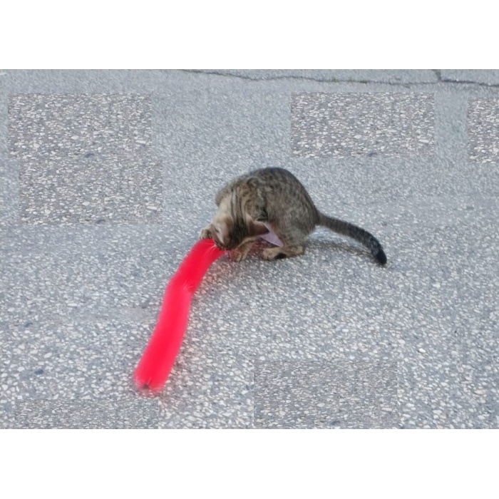 Kedi Tırmalama Fırçası - Kedi Oyuncağı - Lisinya