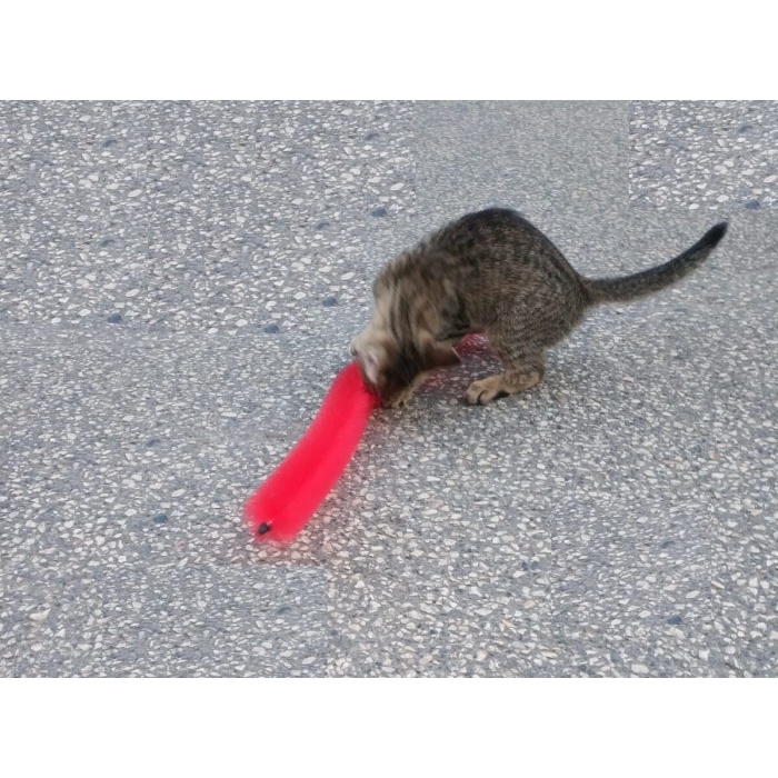 Kedi Tırmalama Fırçası - Kedi Oyuncağı - Lisinya