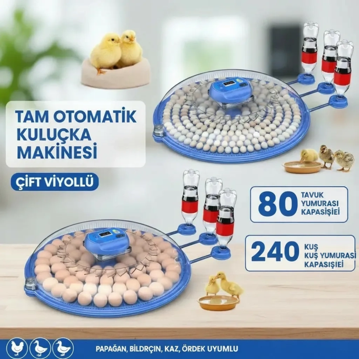 80 ve 240 Kapasiteli Fonksiyonel Tam Otomatik Kuluçka Papağan Mini Kuş Tavuk Kaz Ördek Uyumlu ( Lisinya )