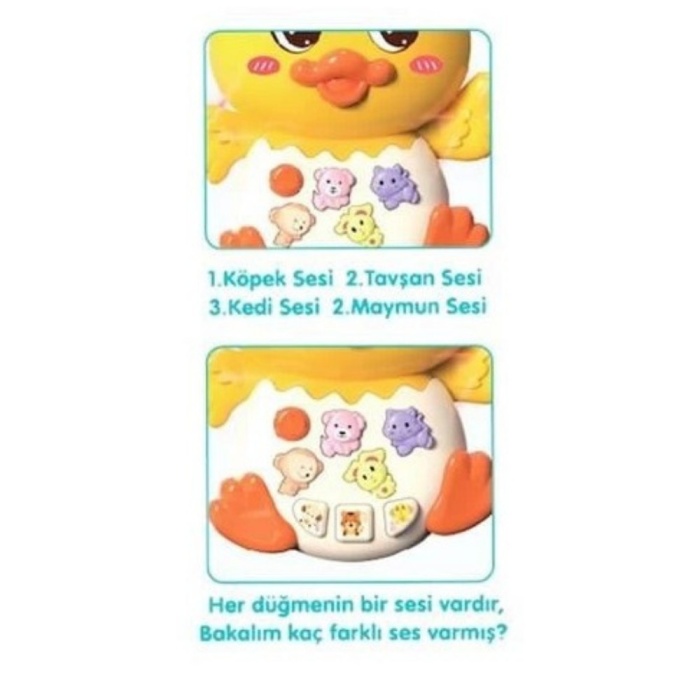 855-144A - ÖRDEK ORG IŞIKLI SESLİ  (Lisinya)