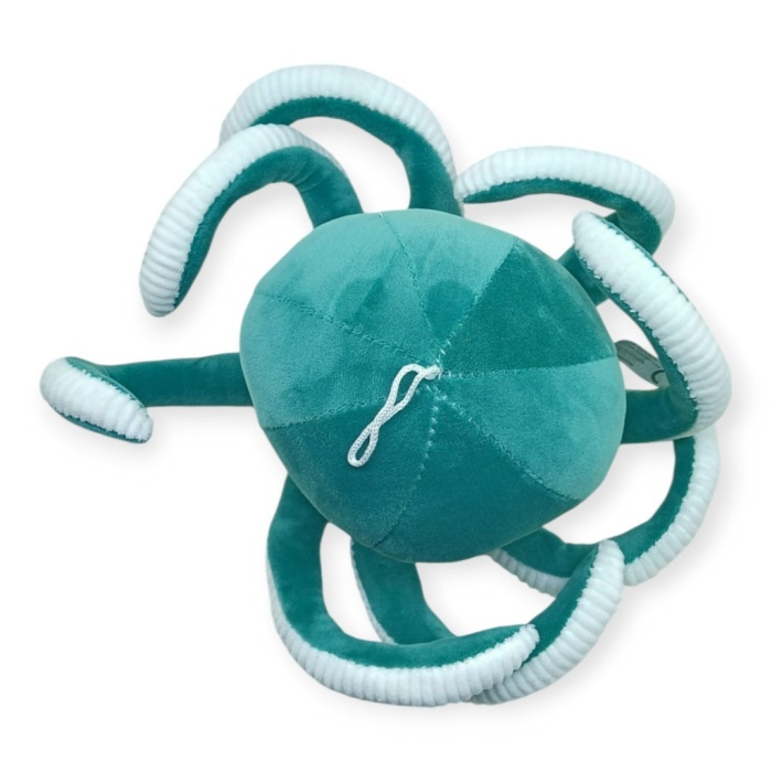 Peluş Sevimli Ahtapot 30 cm - Yeşil (Lisinya)