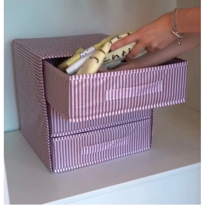 3 Bölmeli Çekmece , Çok Amaçlı Organizer - Çorap Çamaşır Organizer - Masa Üstü Düzenleyici ( Lisinya )
