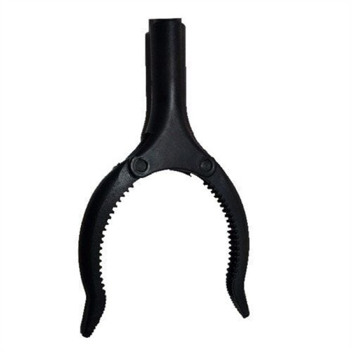 Akvaryum Maşası - Lisinya