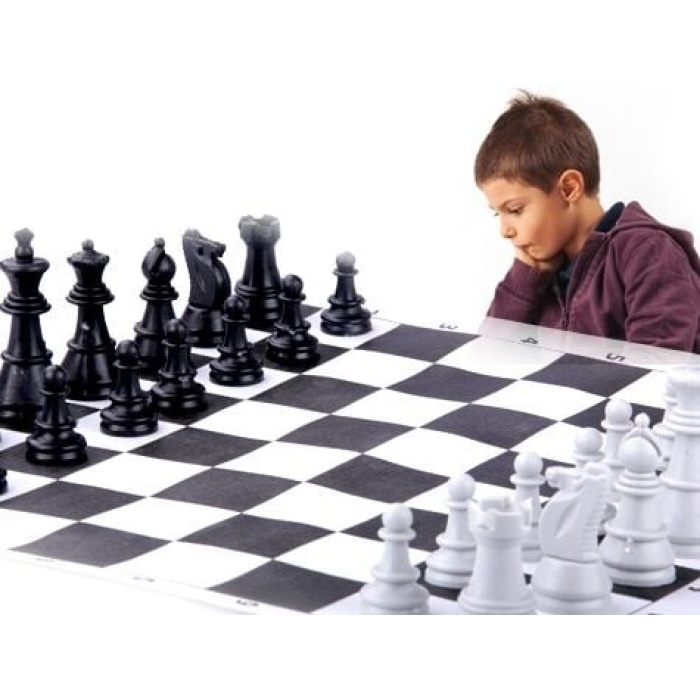 Okullara Özel Satranç Takımı - Lisinya