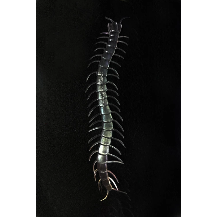 Şeffaf Renk Karanlıkta Parlayan Fosforlu Kırkayak 13 Cm 1 Adet - Lisinya