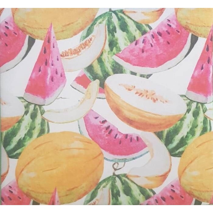 5 Adet Kurutmalık Mikrofiber Kurutma Bulaşık Altlığı - Lisinya