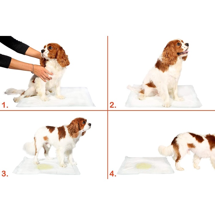 Yıkanabilir Köpek Çiş Pedi - 90 X 60 Cm 5li Paket - Lisinya