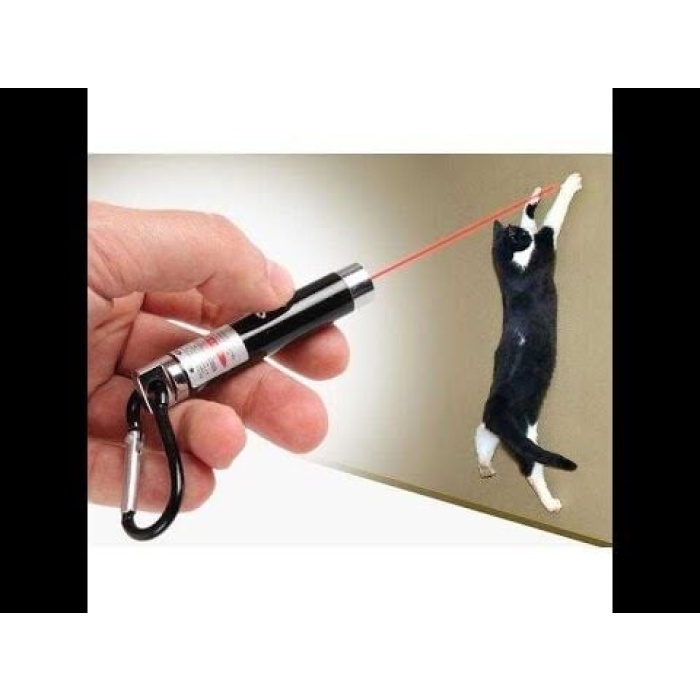 4 Yedek Başlıklı Pilli Kedi Oyuncağı Lazer Anahtarlık - Lisinya