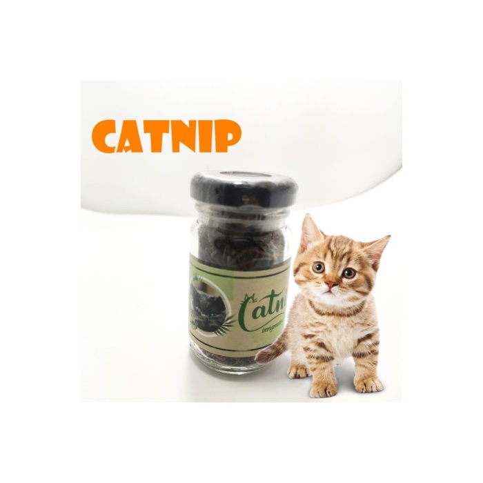 Catnip Doğal Kedi Otu - Kedi Nanesi - Lisinya