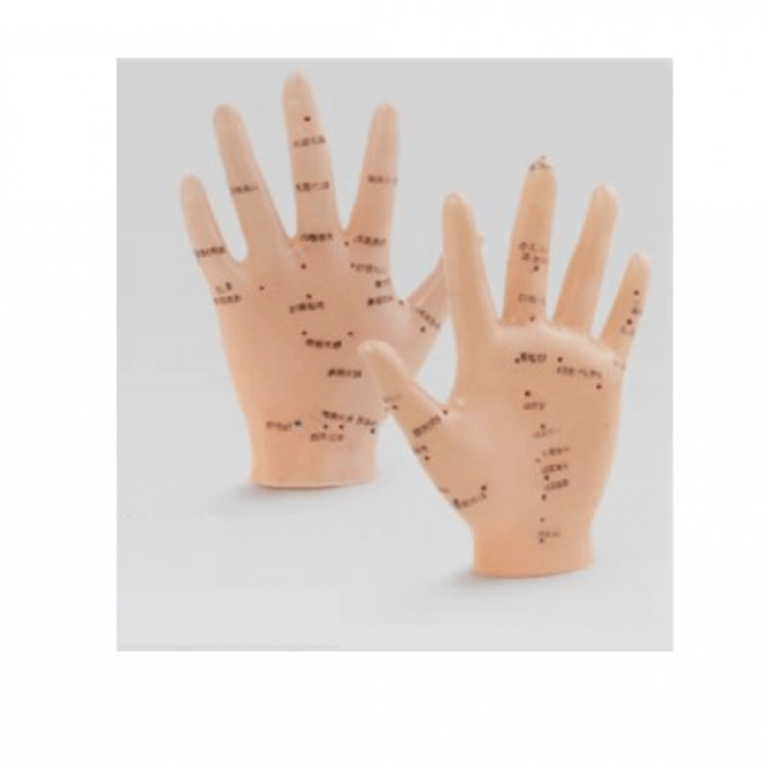 Akupunktur El Maketi - Lisinya