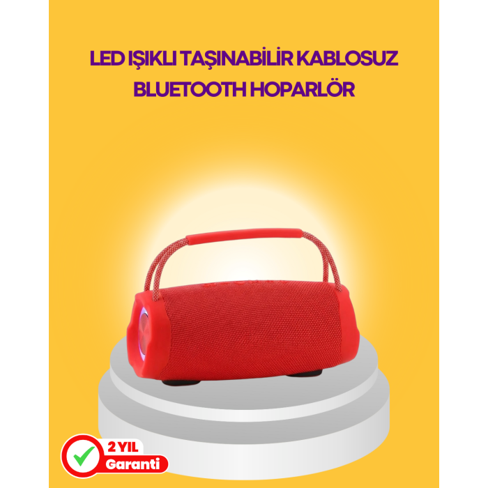 10W Güçlü Stereo Ses Sunan IPX6 Bluetooth Hoparlör - Lisinya