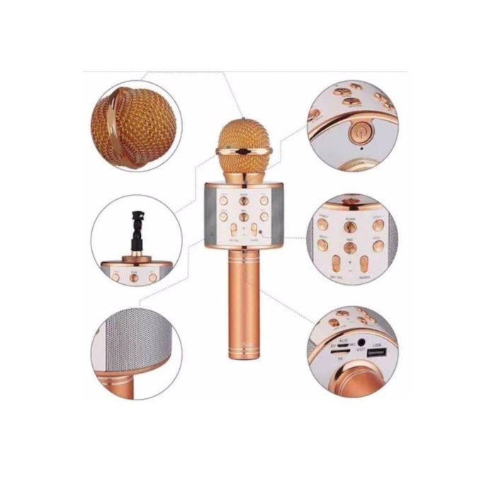 Karaoke Mikrofon Dahili Hoparlörlü Sd-usb-aux Girişli Bluetooth Hoparlör - Lisinya