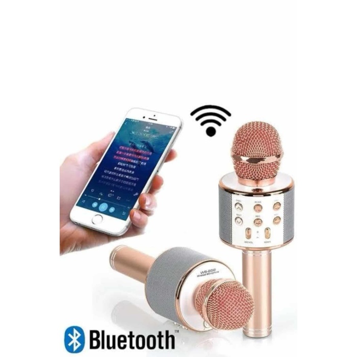 Karaoke Mikrofon Dahili Hoparlörlü Sd-usb-aux Girişli Bluetooth Hoparlör - Lisinya