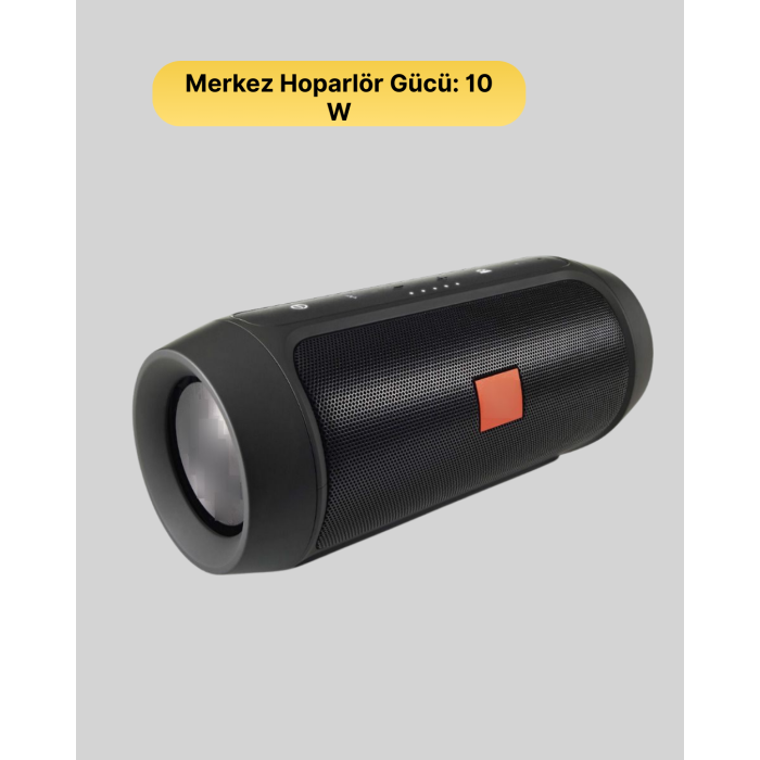 Bluetooth Hoparlör 20W Bass Güçlü Ses USB Flash AUX Destekli - Lisinya