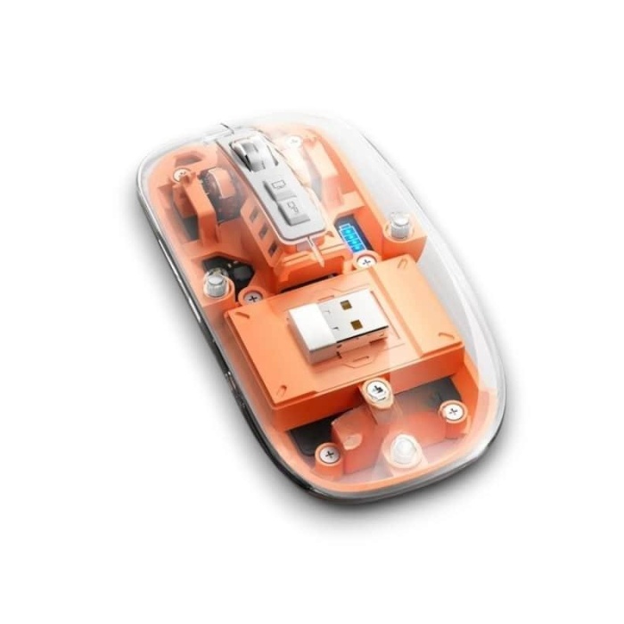 PG-9010 MOUSE FARE - Lisinya