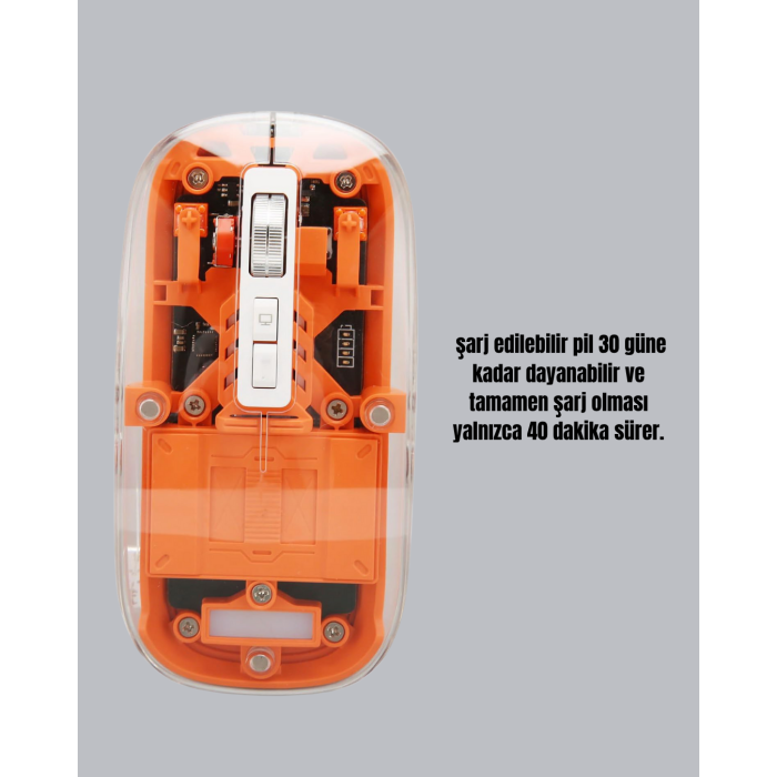 Çift Modlu Fare – USB Alıcılı ve Bluetooth Bağlantılı - Lisinya