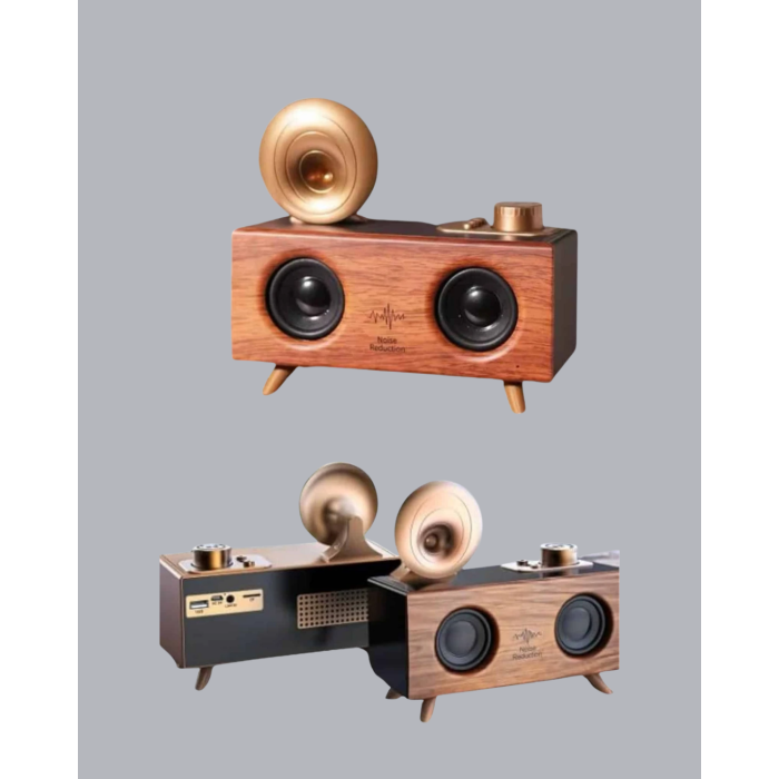 Çift Hoparlörlü Retro Bluetooth Speaker 1800mAh Bataryalı AUX USB SD Kartlı - Lisinya