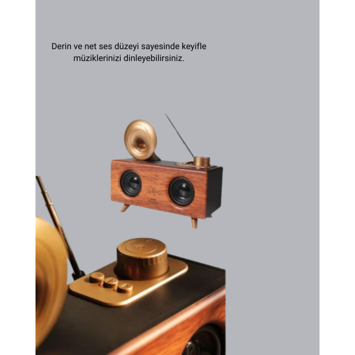 Retro Gramafon Bluetooth Hoparlör Çift Stereo Sesli FM Radyo Destekli - Lisinya