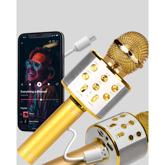 Bluetooth Karaoke Mikrofon Şarjlı Uzun Pil Ömürlü Çok Fonksiyonlu - Lisinya