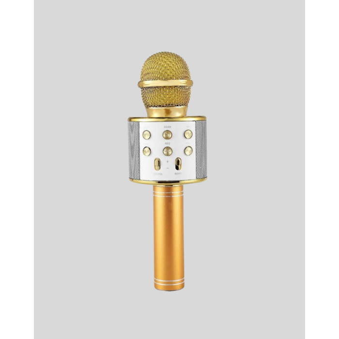 Bluetooth Karaoke Mikrofon Şarjlı Uzun Pil Ömürlü Çok Fonksiyonlu - Lisinya