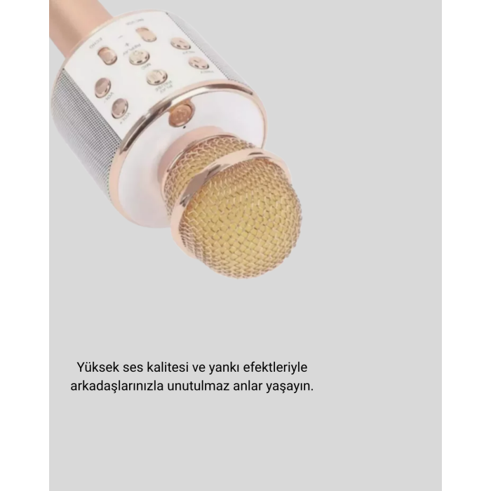 Kablosuz Karaoke Mikrofon USB AUX Destekli Parti ve Eğlence İçin - Lisinya