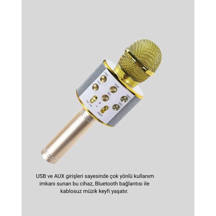 Karaoke Mikrofonu Bluetooth USB AUX Girişli Yankı Efektli - Lisinya