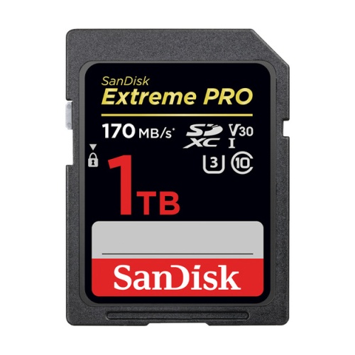 SANDISK Extreme PRO 1TB SDXC Memory Card UHS-I SDSDXXY-1T00-GN4IN