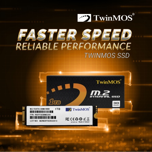 TWINMOS 1TB M.2 2280 SATA3 SSD (580Mb-550Mb/s) 3DNAND NGFFGGBM2280