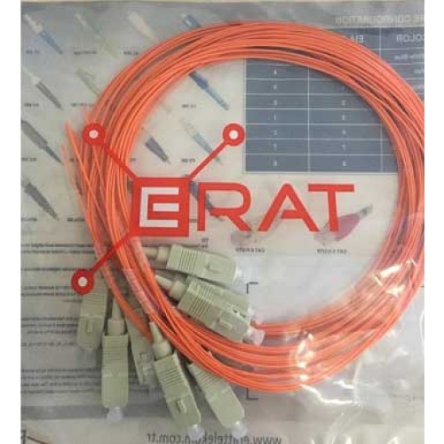 ERAT SC Pigtail Simplex SM 9/125 Mic. 1 mt E9PGSCSR0010
