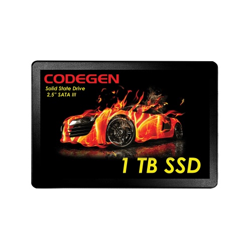 1 TB 2.5 SATA3 SSD 500/450 (CDG-1TB-SSD25)