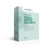KASPERSKY SMALL OFFICE SECURITY 1 SERVER + 10 PC + 10 MD 1 YIL