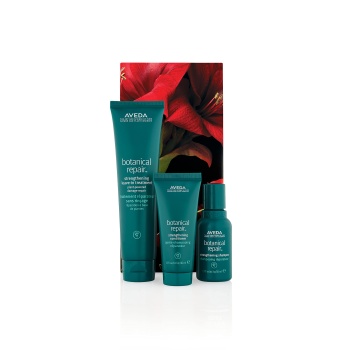 Aveda Botanical Repair Strengthening Hair Trio Set