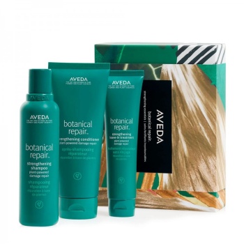 Aveda Botanical Repair Strengthening Essentials Set