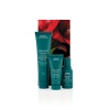 Aveda Botanical Repair Strengthening Hair Trio Set