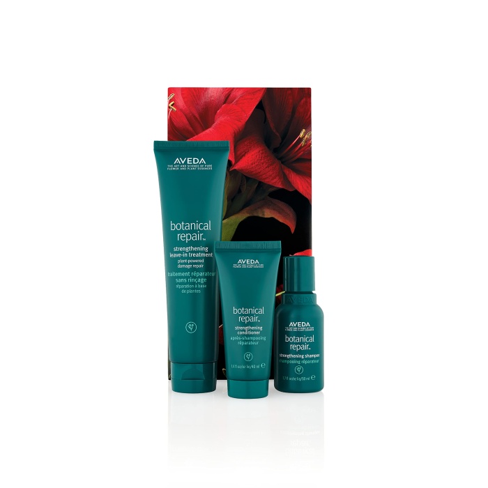 Aveda Botanical Repair Strengthening Hair Trio Set