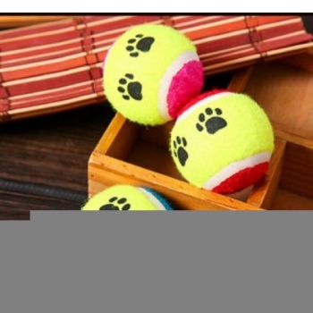 At Getir Köpek Eğitim Topu (5343)