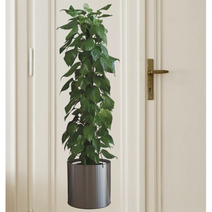 Saksılı Bitki Tasarımlı Yapışkanlı Sticker Resim 90*30 cm (5343)
