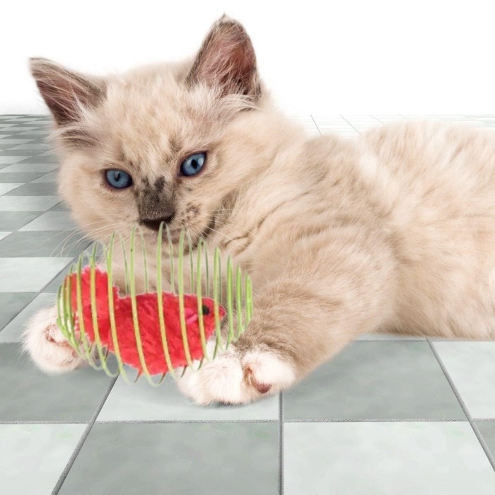 Yaylı Metal Fareli Kafes Kedi Oyun Topu Sıçrayan Spiral Kedi Topu (5343)