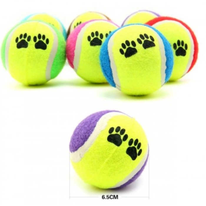 At Getir Köpek Eğitim Topu (5343)