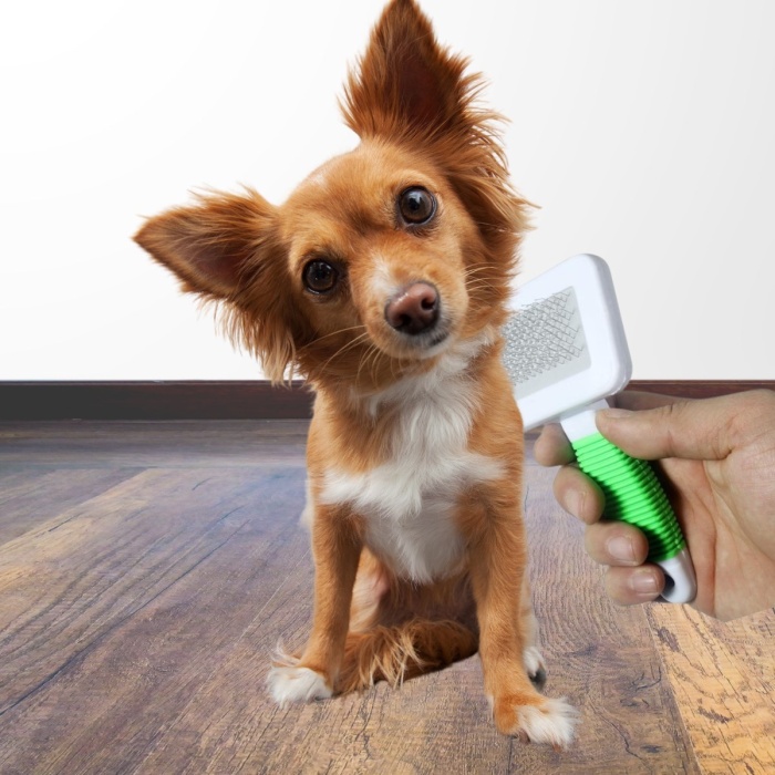 Kedi Köpek Telli Küçük Boy Tüy Bakım Seti Evcil Hayvan Tarama Fırçası (5343)