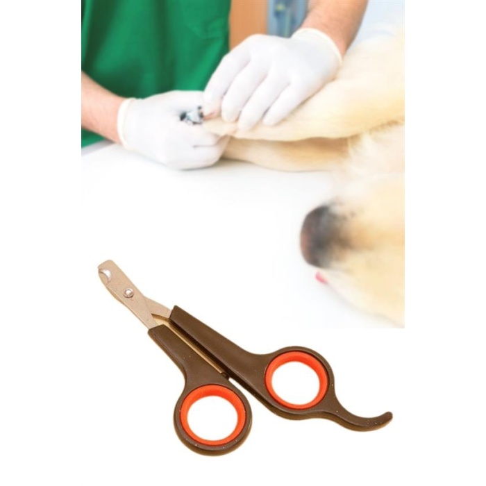Küçük Çelik Uçlu Kedi Köpek Evcil Hayvan Tırnak Makası Pati Bakım Aleti Ergonomik Kaymaz Sap (5343)