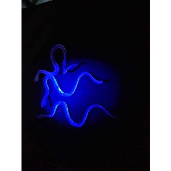 Şaka Yılan ve Kırkayak Karışık 36 Adet (5343)