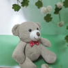 25 cm Gri Peluş Ayıcık – Yumuşak Dokulu, Sevimli ve Hediyeli