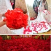 Kırmızı Renk Gül Yaprağı Şekilli Konfeti – 10 Paket 1000 Adet (5343)