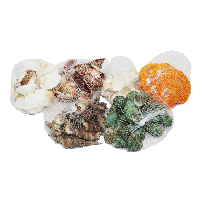FİLELİ MİDYE DENİZ KABUK VAZO TAŞI RENKLİ MİX (5343)