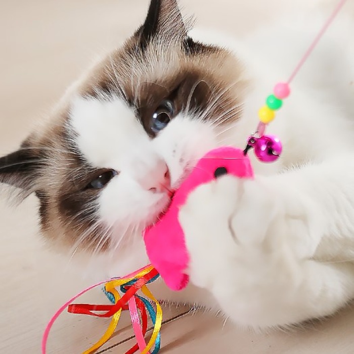 Balıklı Kedi Oyun Oltası 90 Cm (5343)